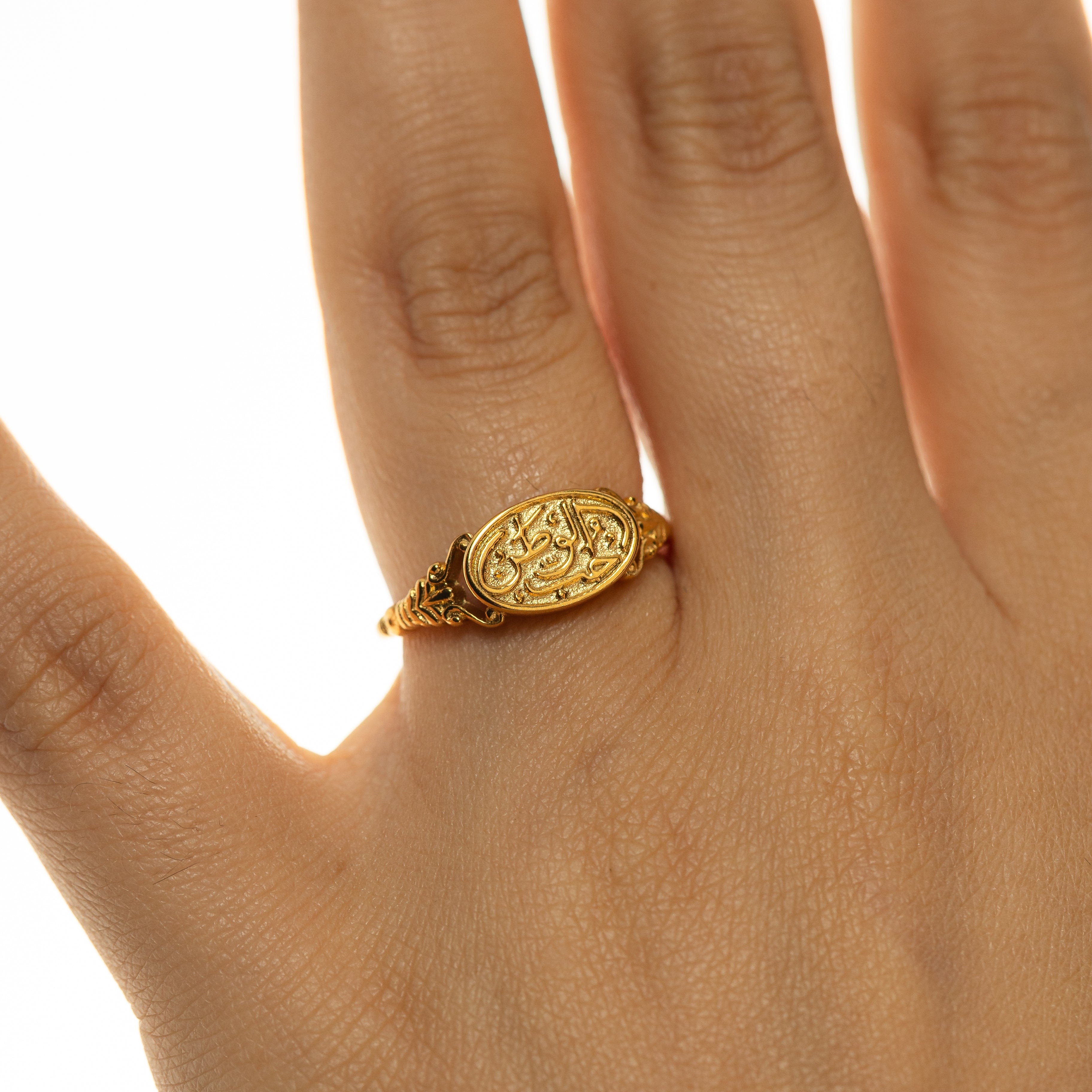 Homeland Ring