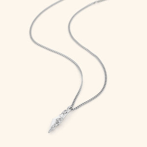 Silver necklace with a pendant shaped like the map of Palestine, covered with poppies climbing across the surface.