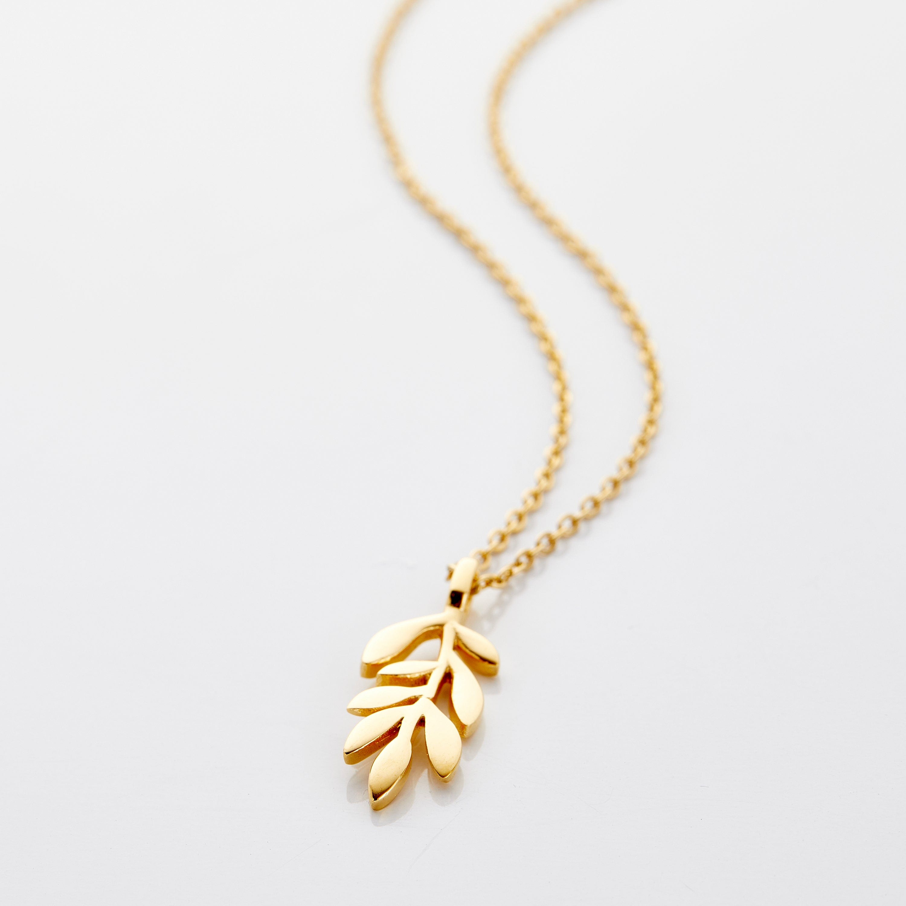 Photo of an 18k gold plated necklace that features chain that is thin and delicate, leading down to a small Olive leaf shaped pendant.