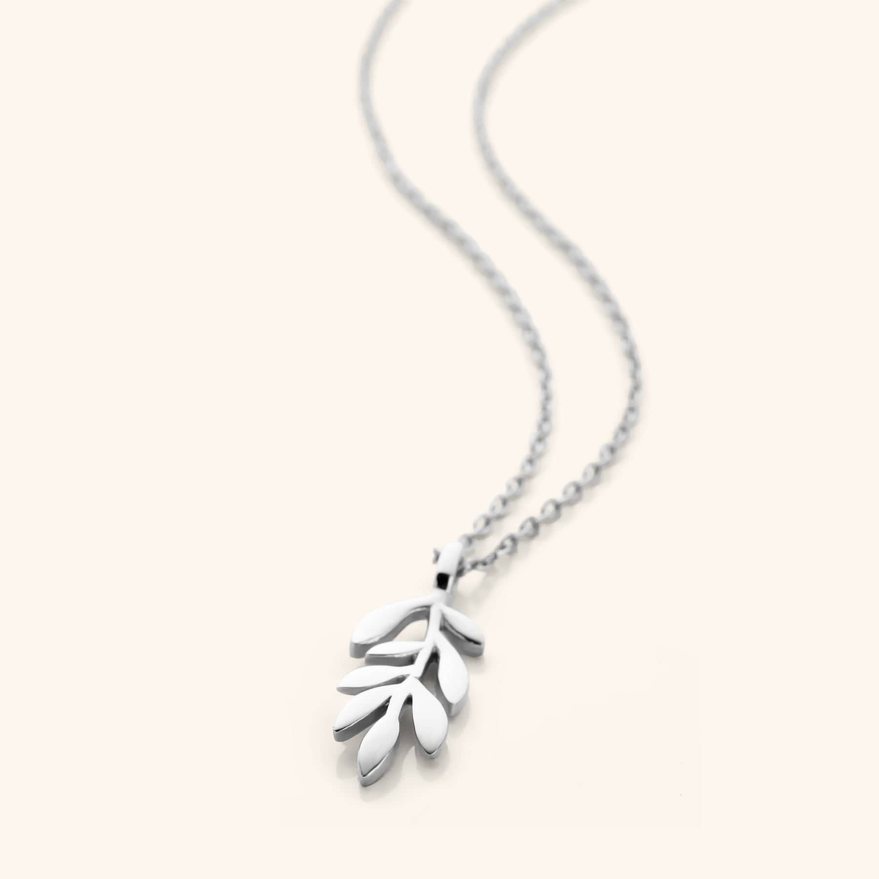 Photo of a silver necklace that features chain that is thin and delicate, leading down to a small Olive leaf shaped pendant.