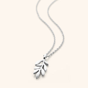 Photo of a silver necklace that features chain that is thin and delicate, leading down to a small Olive leaf shaped pendant.