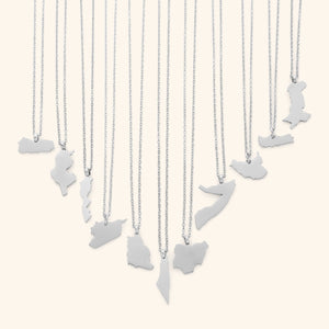 The image shows a collection of delicate silver necklaces hanging vertically against a light beige background. Each necklace features a flat, polished silver pendant shaped like the outline of a different country or region.