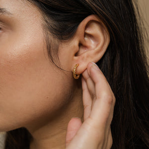 Flake Hoops - Nominal